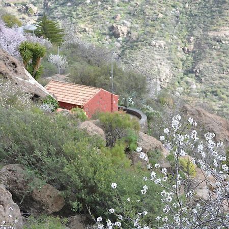 Casa Cueva El Pedregal Tejeda Βίλα Εξωτερικό φωτογραφία