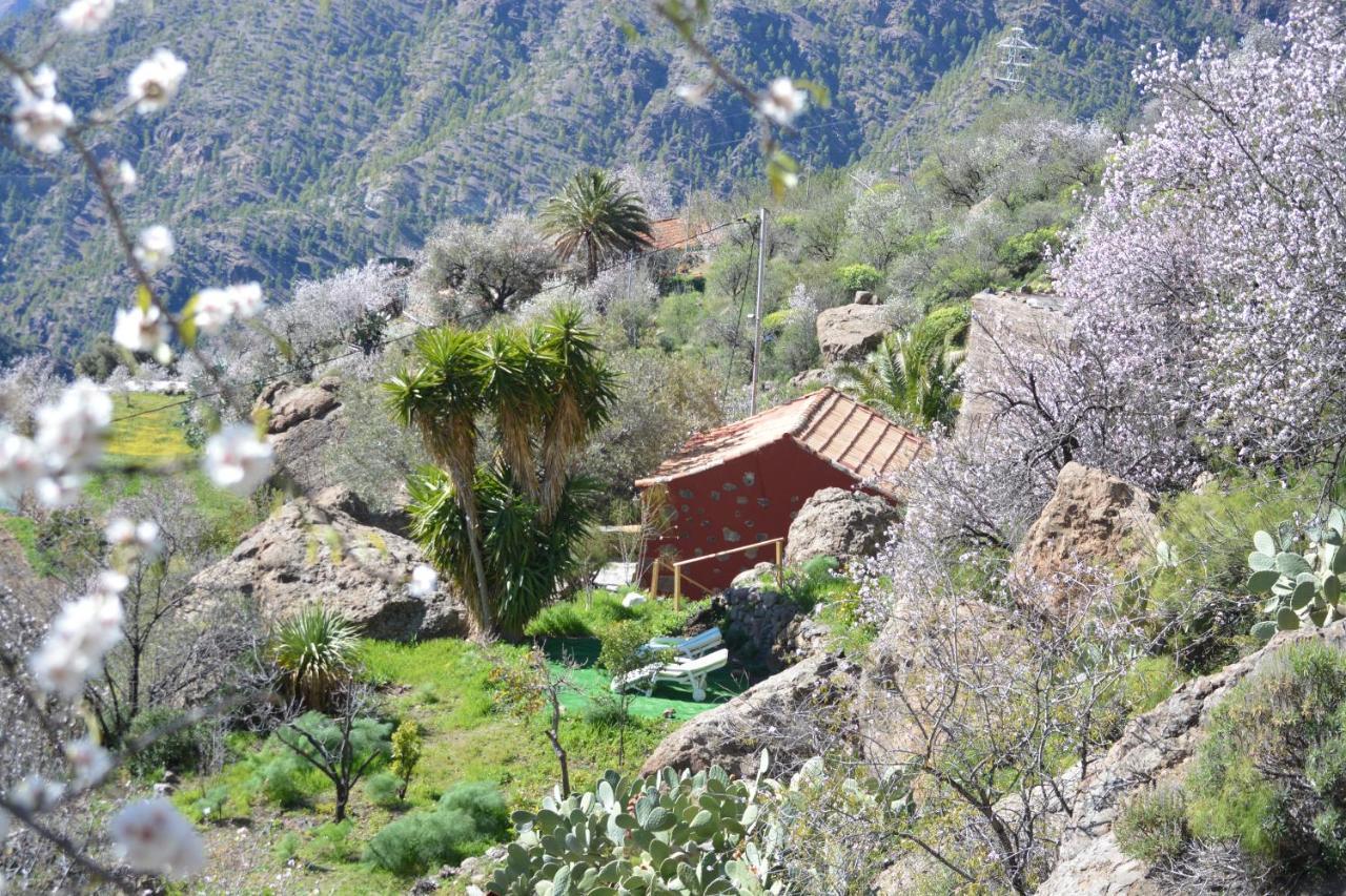 Casa Cueva El Pedregal Tejeda Βίλα Εξωτερικό φωτογραφία