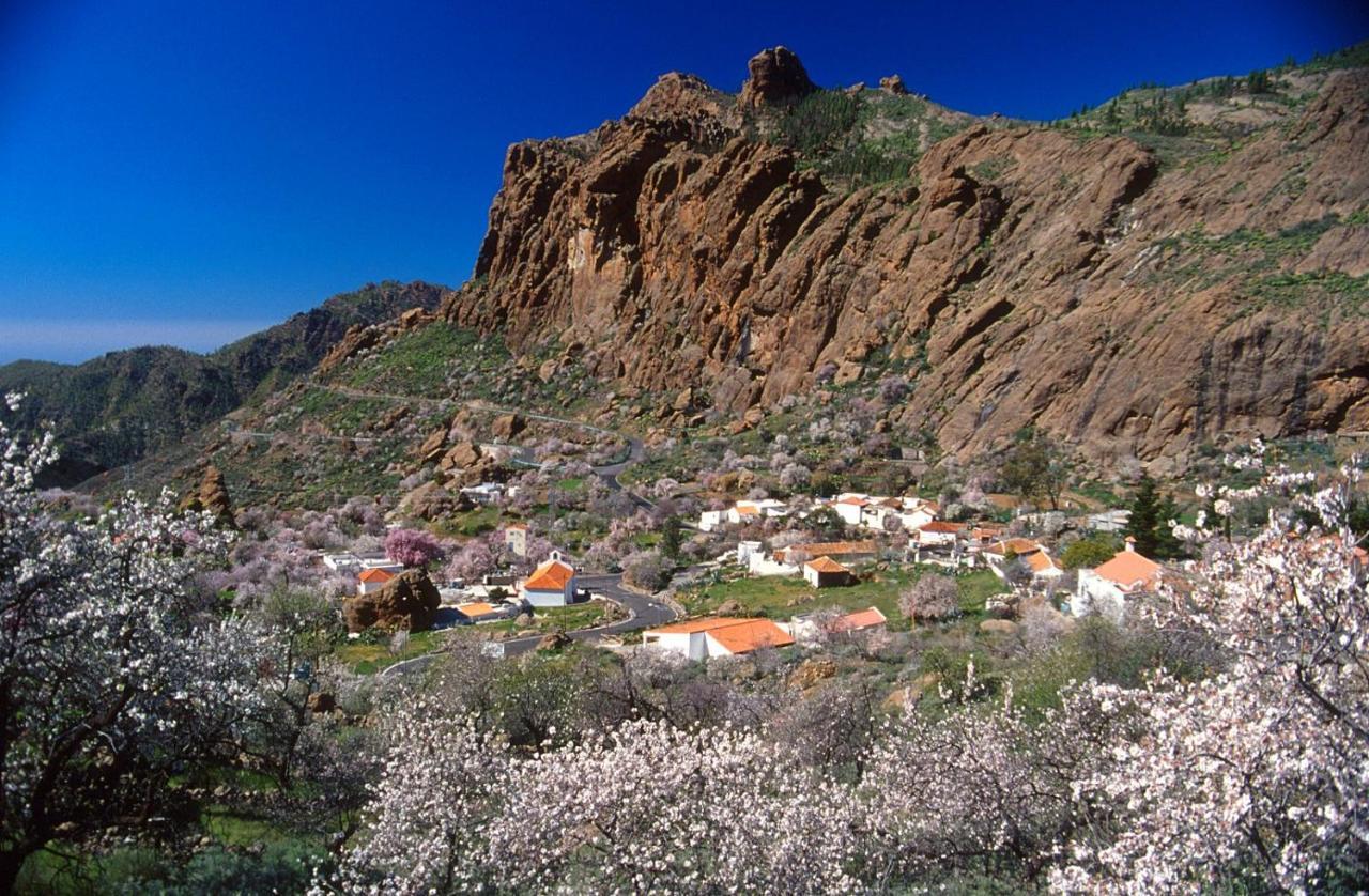 Casa Cueva El Pedregal Tejeda Βίλα Εξωτερικό φωτογραφία