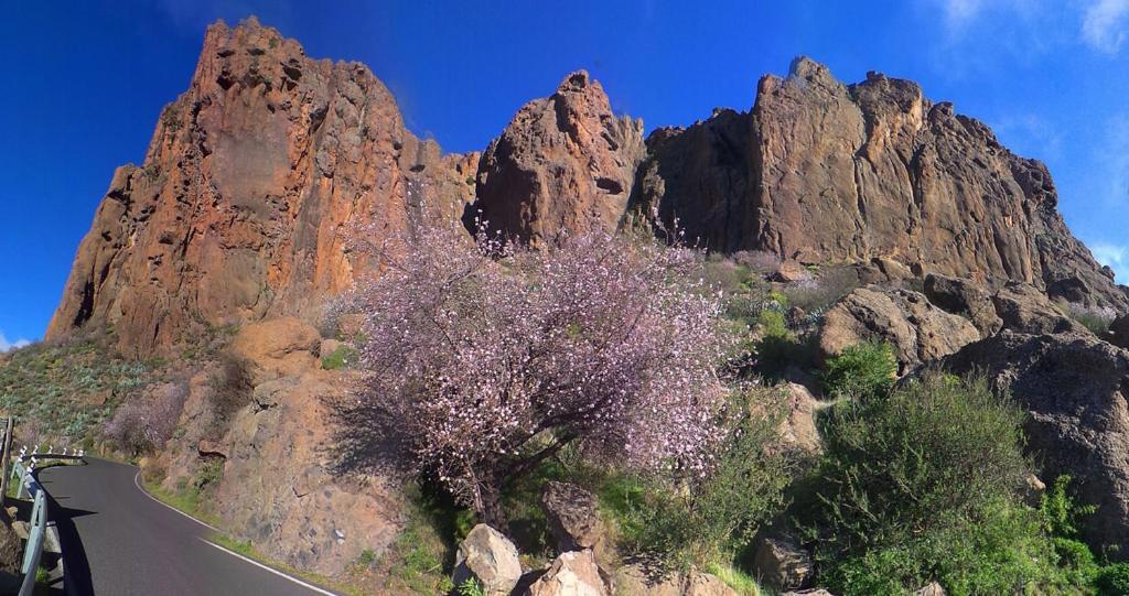 Casa Cueva El Pedregal Tejeda Βίλα Εξωτερικό φωτογραφία